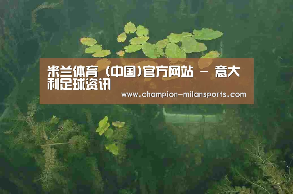 案例展示三(图1)
