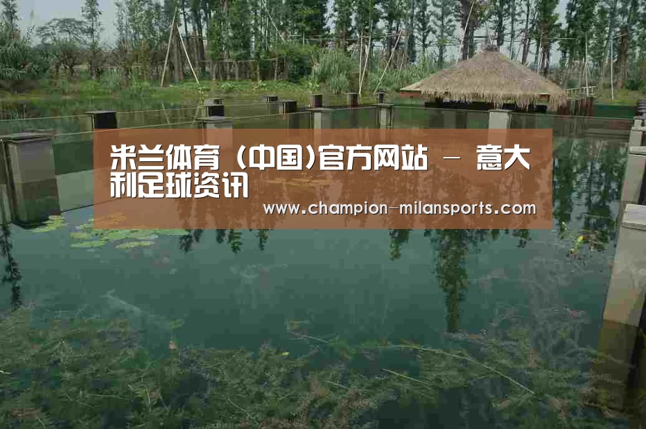案例展示二(图1)