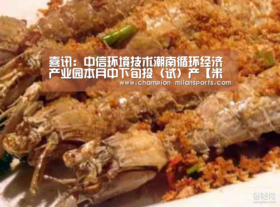 喜讯:中信环境技术潮南循环经济产业园本月中下旬投(试)产【米兰体育全站下载】(图1) 米兰体育全站