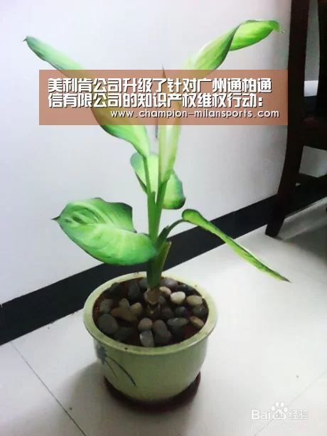 美利肯公司升级了针对广州通柏通信有限公司的知识产权维权行动：米兰体育app下载安
