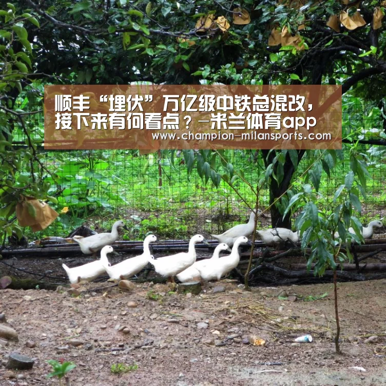 米兰体育全站下载