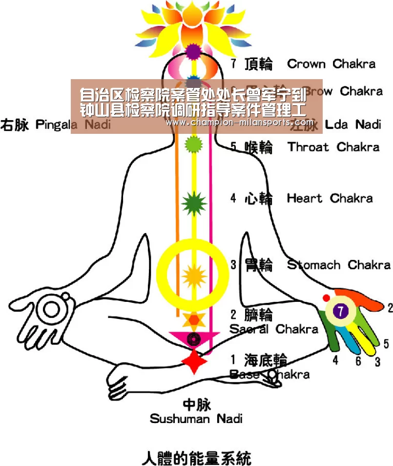 自治区检察院案管处处长曾军宁到钟山县检察院调研指导案件管理工作-米兰体育全站