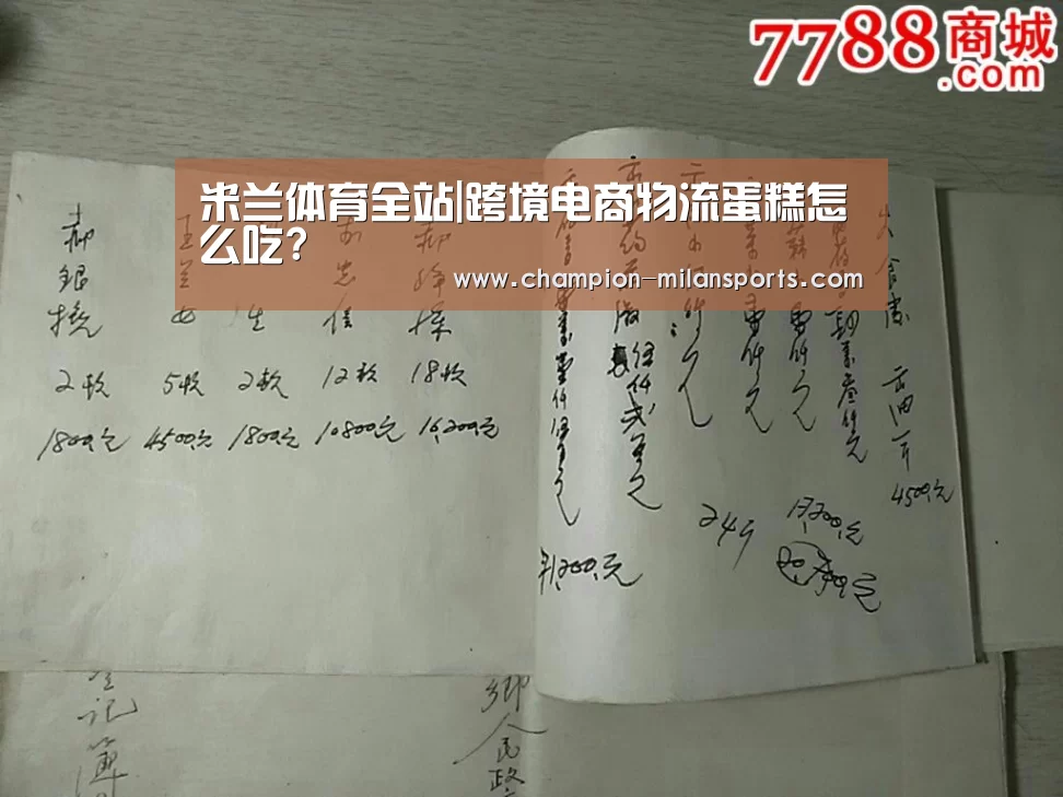 米兰体育全站|跨境电商物流蛋糕怎么吃?(图2) 米兰体育app下载安装