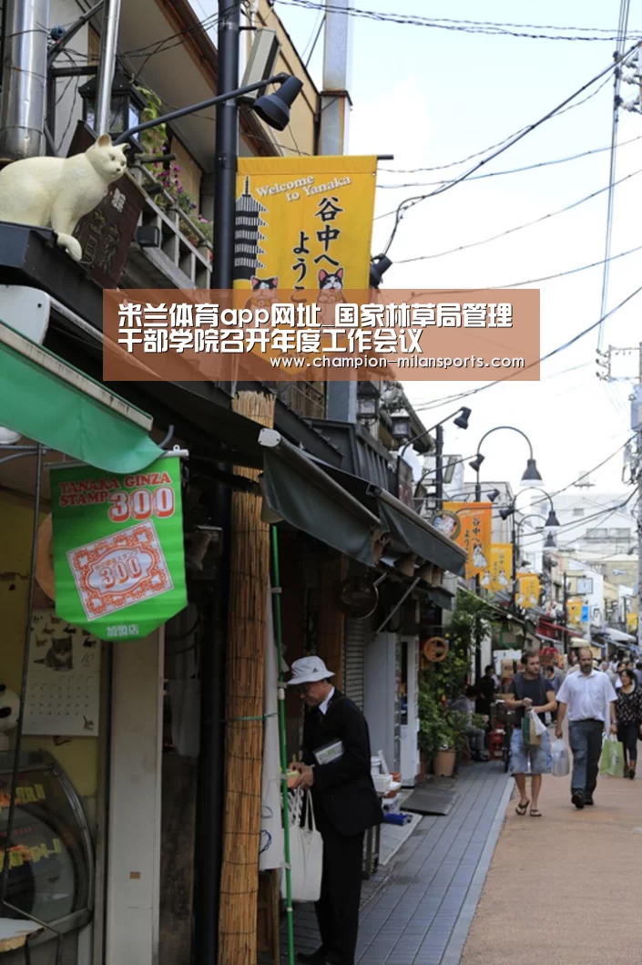 米兰体育app下载安装